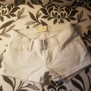 Hollister Short Short 00
